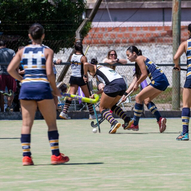 - El éxito no es un acto individual, sino un esfuerzo conjunto...
.
Gracias por confiar en mi trabajo @quintapadua.a 
.
#hockey #fotografiadeportiva #fieldhockey #hockeyargentina #hockeygirl #hockeywomen #sportsphotography #sports #deporte #sportsphotographer #hockeyphotography #hockeyphotographer #hockeysticks #hockeyplayers #hockeyhierba #hockeyfemenino #hockeylife