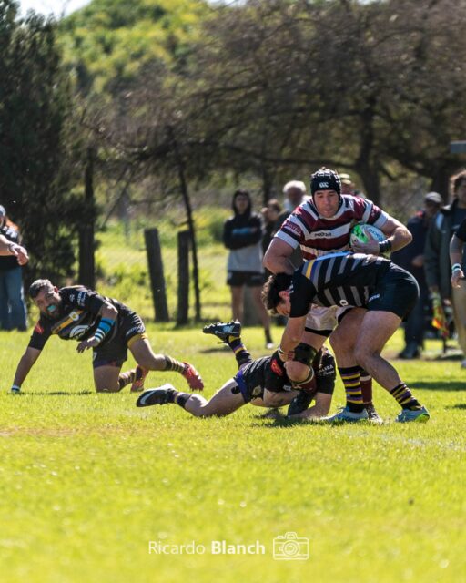 - Algunas fotos de la Intermedia ayer por la tarde!!!
.
.
@losmolinosrugby 
@clubcasadepadua 
@urba.ok
.
#purorugby #sportphoto #fotografiadeportiva #rugby #urba