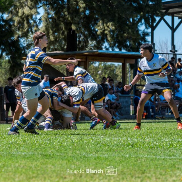 - Te dolerá, te llevará tiempo. Requerirá dedicación. Requerirá fuerza de voluntad. Tendrás que tomar decisiones sobre tu salud. Requerirá sacrificio, tendrás que someter tu cuerpo al máximo. Habrán tentaciones. Pero te lo prometo, cuando alcances el objetivo, merecerá la pena.
.
@la09delcasa 
.
#purorugby #sportphoto #fotografiadeportiva #rugby #urba